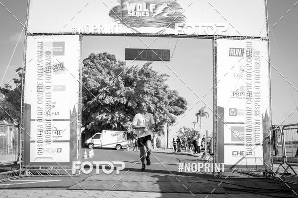 Buy your photos of the eventWolf Series - Botucatu on Fotop