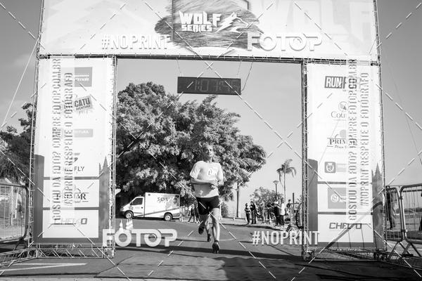 Buy your photos of the eventWolf Series - Botucatu on Fotop