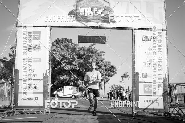 Buy your photos of the eventWolf Series - Botucatu on Fotop