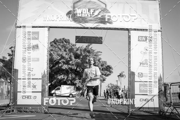 Buy your photos of the eventWolf Series - Botucatu on Fotop