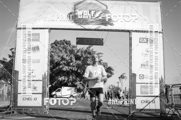 Buy your photos of the eventWolf Series - Botucatu on Fotop