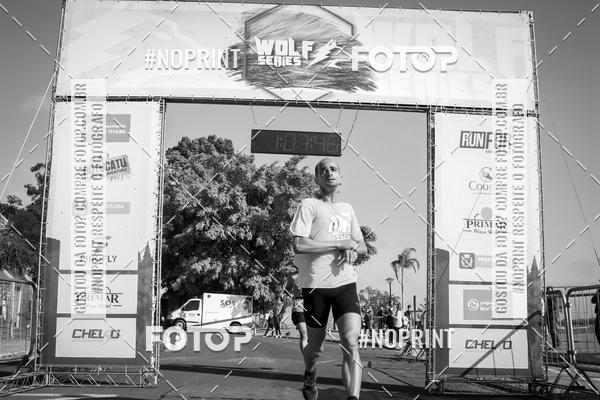 Buy your photos of the eventWolf Series - Botucatu on Fotop