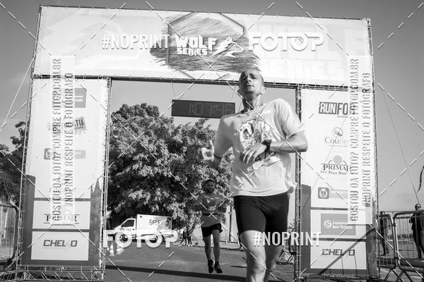 Buy your photos of the eventWolf Series - Botucatu on Fotop