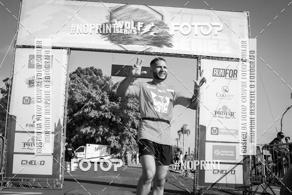 Buy your photos of the eventWolf Series - Botucatu on Fotop