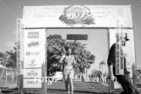 Buy your photos of the eventWolf Series - Botucatu on Fotop