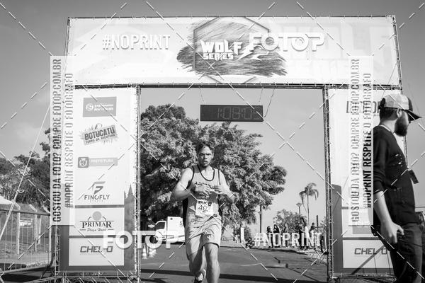 Buy your photos of the eventWolf Series - Botucatu on Fotop