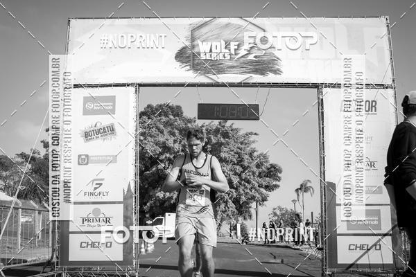 Buy your photos of the eventWolf Series - Botucatu on Fotop