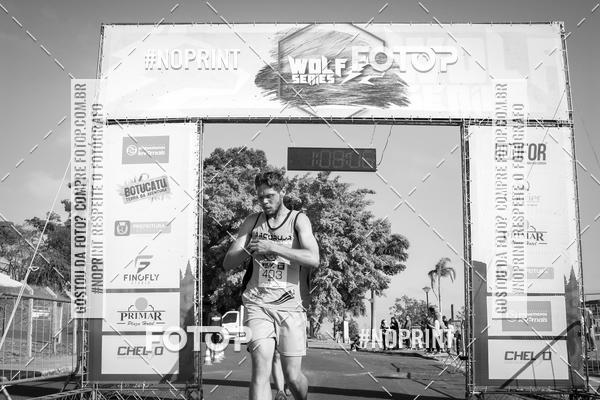 Buy your photos of the eventWolf Series - Botucatu on Fotop