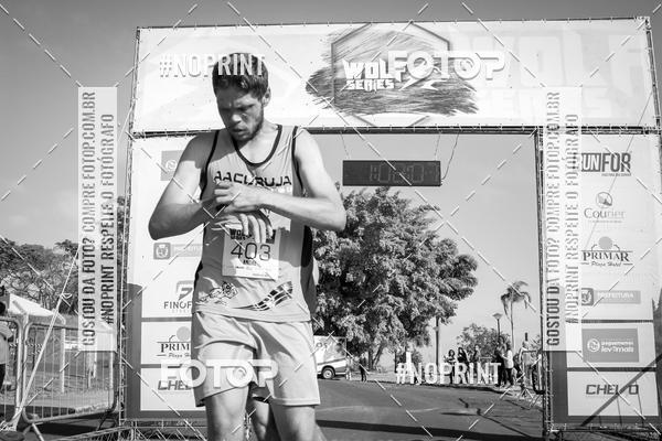 Buy your photos of the eventWolf Series - Botucatu on Fotop