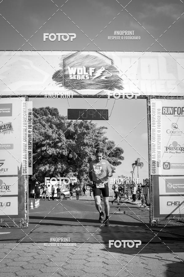 Buy your photos of the eventWolf Series - Botucatu on Fotop