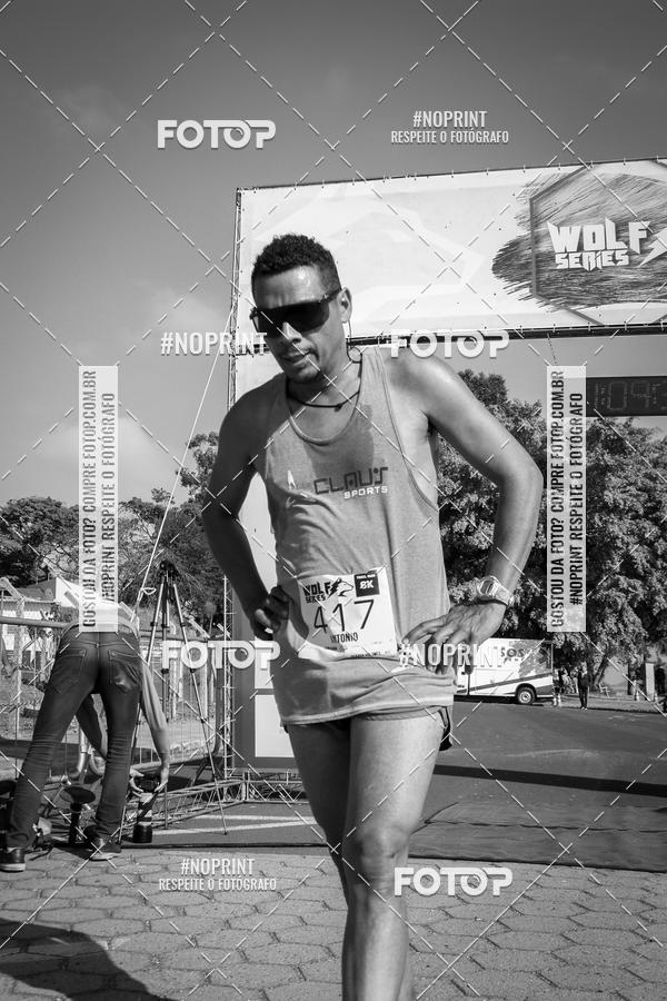 Buy your photos of the eventWolf Series - Botucatu on Fotop