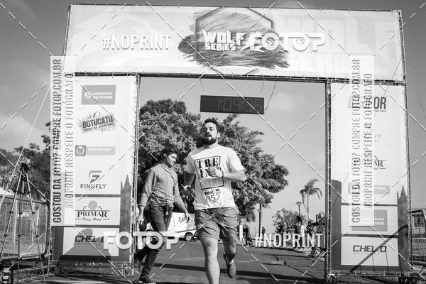 Buy your photos of the eventWolf Series - Botucatu on Fotop