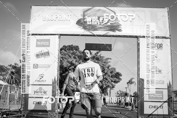 Buy your photos of the eventWolf Series - Botucatu on Fotop