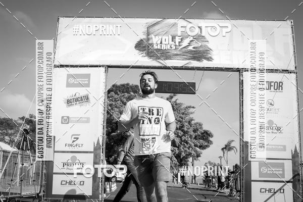 Buy your photos of the eventWolf Series - Botucatu on Fotop