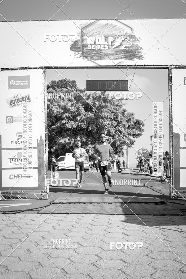 Buy your photos of the eventWolf Series - Botucatu on Fotop