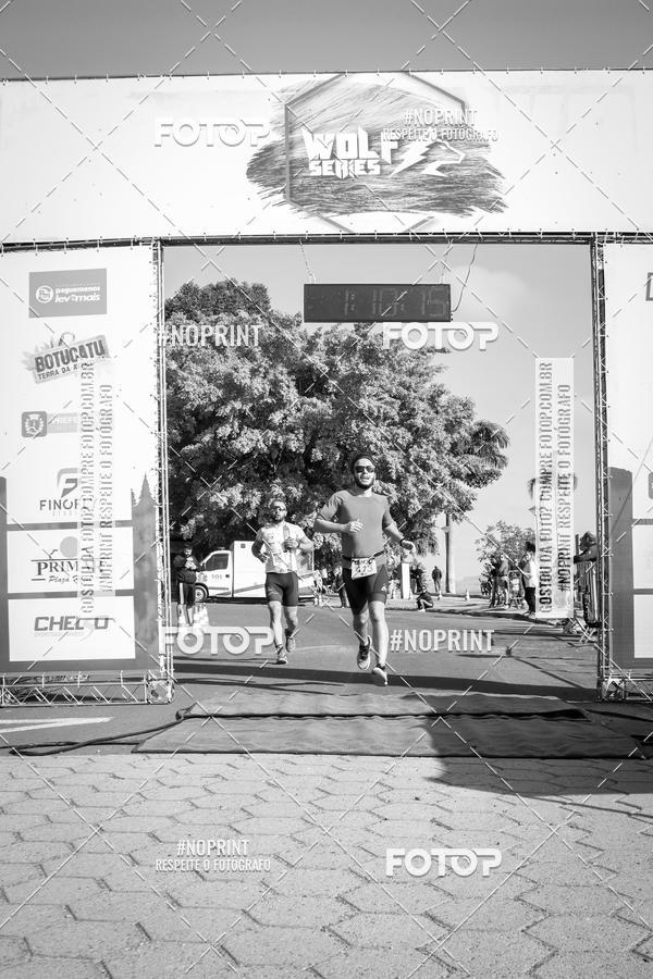 Buy your photos of the eventWolf Series - Botucatu on Fotop