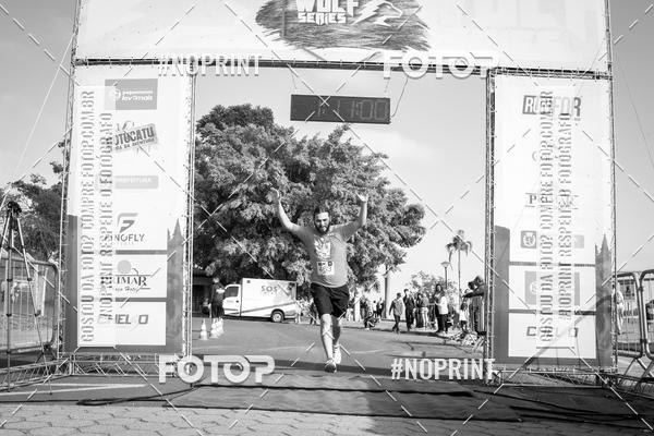 Buy your photos of the eventWolf Series - Botucatu on Fotop