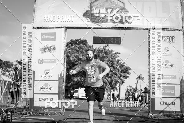 Buy your photos of the eventWolf Series - Botucatu on Fotop