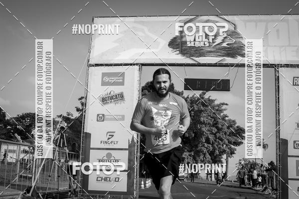 Buy your photos of the eventWolf Series - Botucatu on Fotop