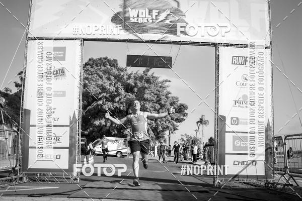 Buy your photos of the eventWolf Series - Botucatu on Fotop