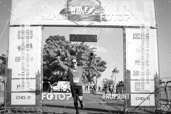 Buy your photos of the eventWolf Series - Botucatu on Fotop