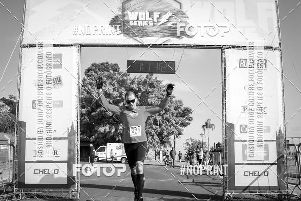 Buy your photos of the eventWolf Series - Botucatu on Fotop