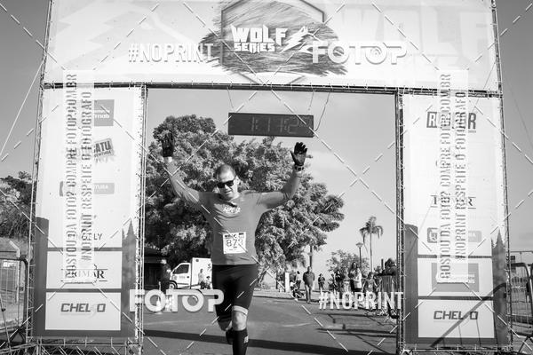 Buy your photos of the eventWolf Series - Botucatu on Fotop