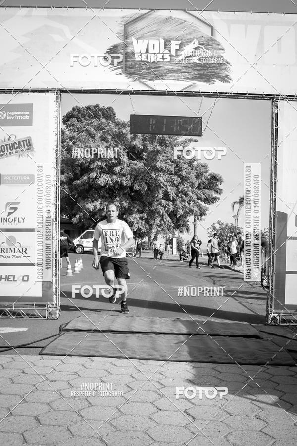 Buy your photos of the eventWolf Series - Botucatu on Fotop
