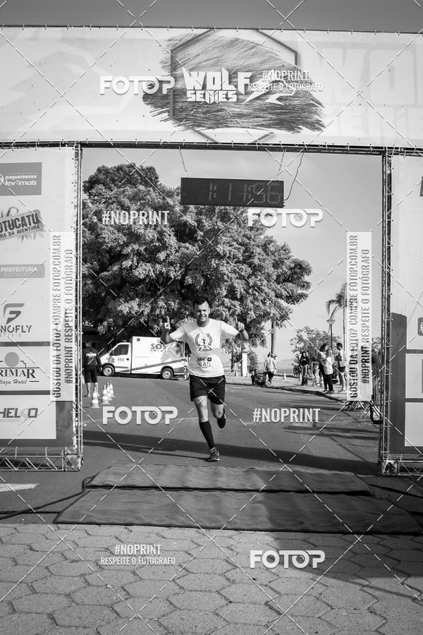 Buy your photos of the eventWolf Series - Botucatu on Fotop