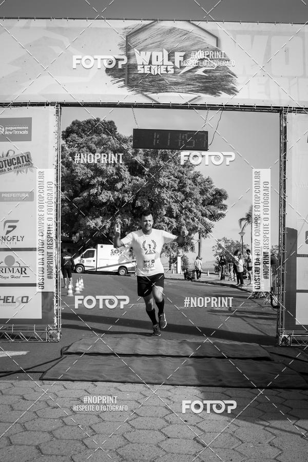 Buy your photos of the eventWolf Series - Botucatu on Fotop