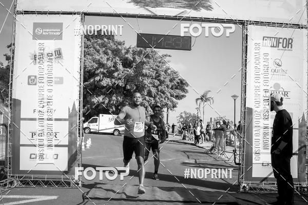 Buy your photos of the eventWolf Series - Botucatu on Fotop