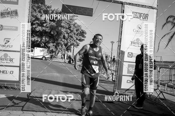 Buy your photos of the eventWolf Series - Botucatu on Fotop