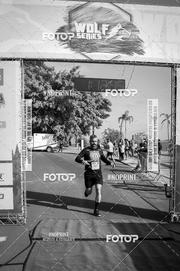 Buy your photos of the eventWolf Series - Botucatu on Fotop