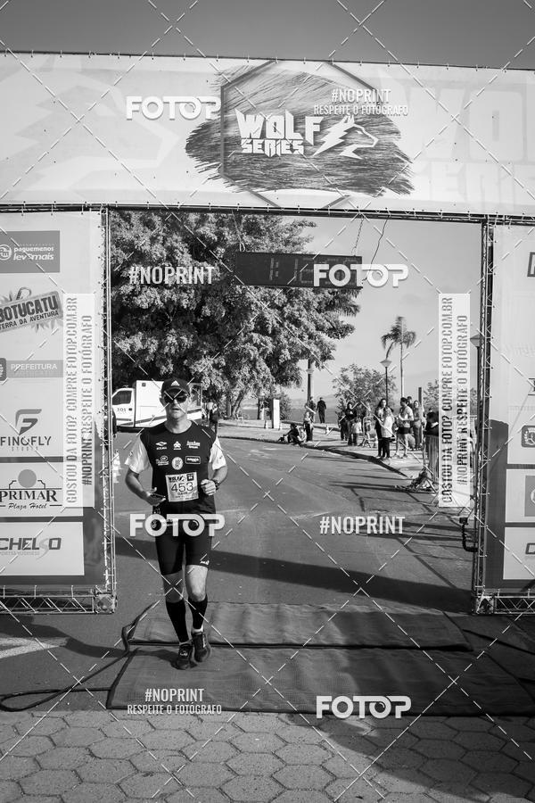 Buy your photos of the eventWolf Series - Botucatu on Fotop