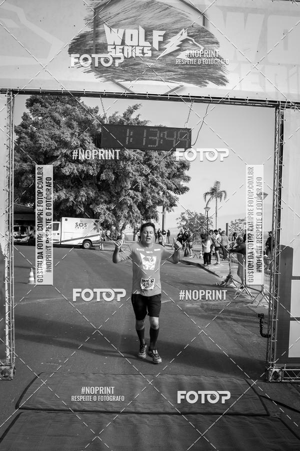 Buy your photos of the eventWolf Series - Botucatu on Fotop