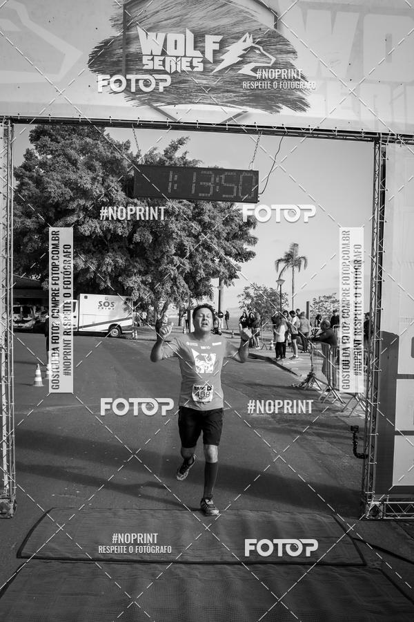 Buy your photos of the eventWolf Series - Botucatu on Fotop