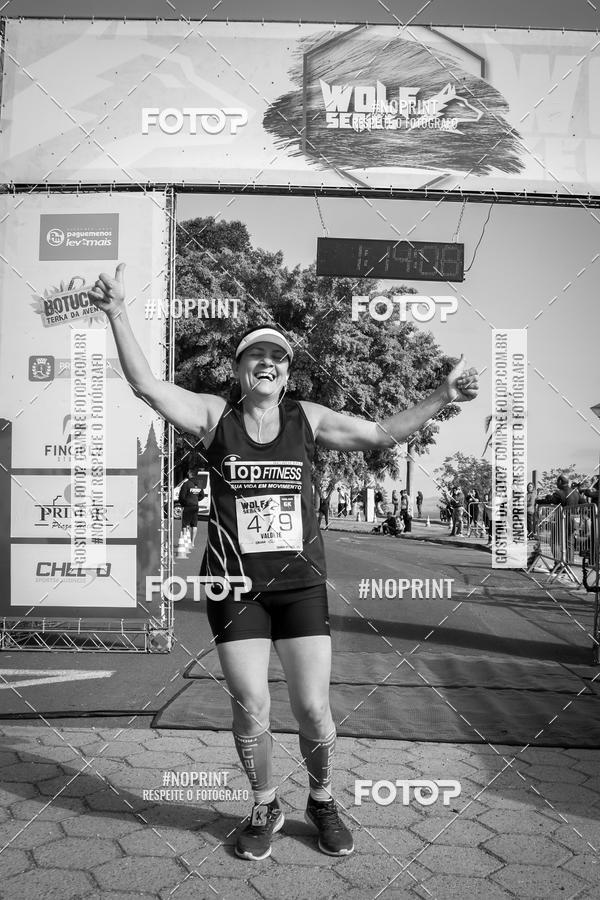 Buy your photos of the eventWolf Series - Botucatu on Fotop