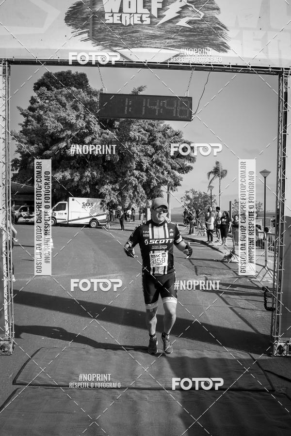 Buy your photos of the eventWolf Series - Botucatu on Fotop