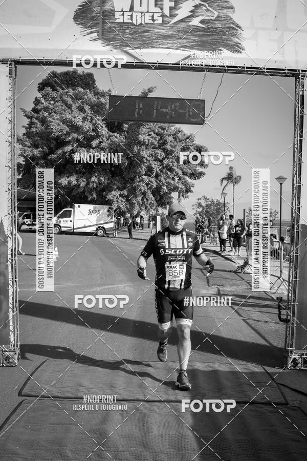 Buy your photos of the eventWolf Series - Botucatu on Fotop