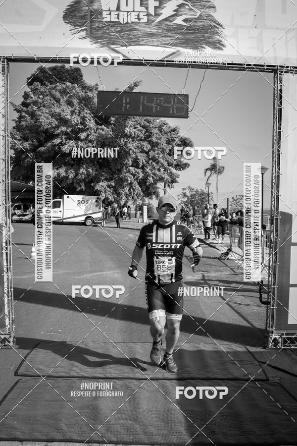 Buy your photos of the eventWolf Series - Botucatu on Fotop