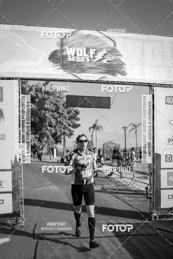 Buy your photos of the eventWolf Series - Botucatu on Fotop