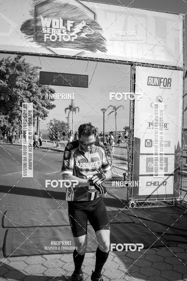 Buy your photos of the eventWolf Series - Botucatu on Fotop