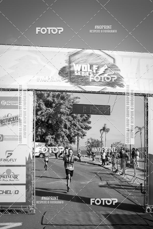 Buy your photos of the eventWolf Series - Botucatu on Fotop