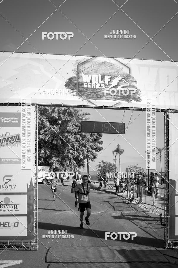 Buy your photos of the eventWolf Series - Botucatu on Fotop