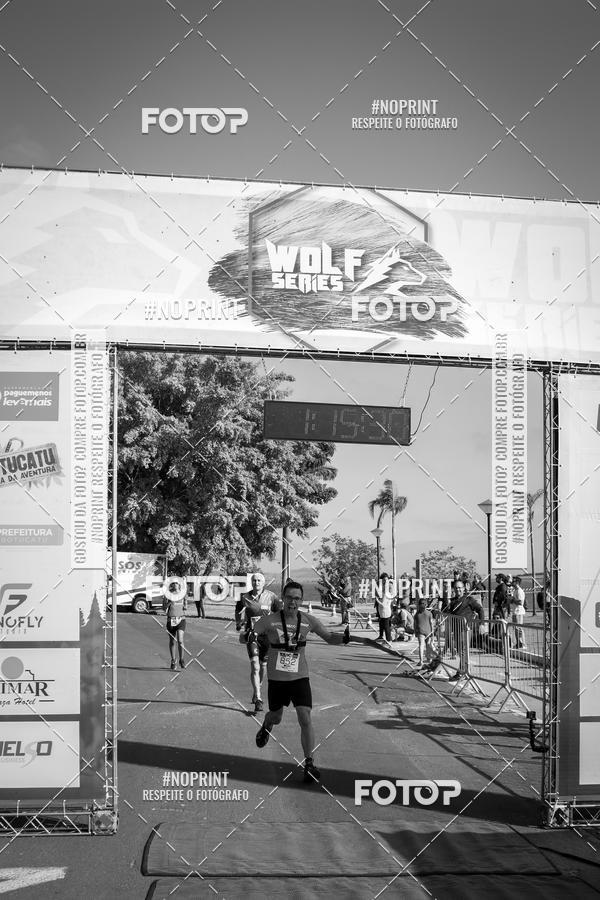 Buy your photos of the eventWolf Series - Botucatu on Fotop