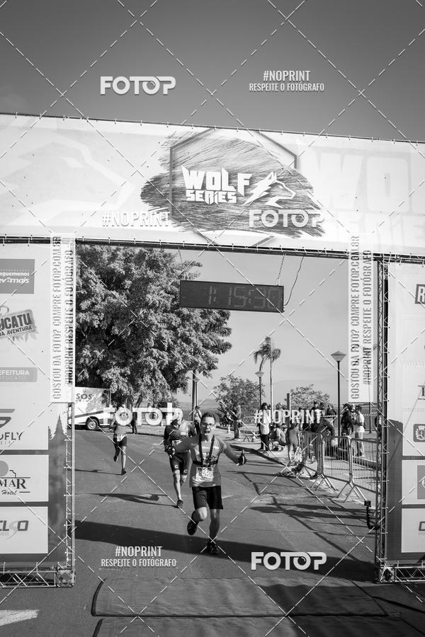 Buy your photos of the eventWolf Series - Botucatu on Fotop