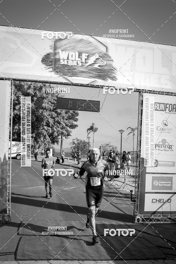 Buy your photos of the eventWolf Series - Botucatu on Fotop