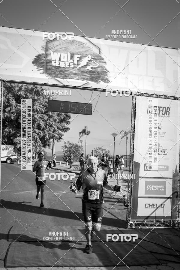 Buy your photos of the eventWolf Series - Botucatu on Fotop