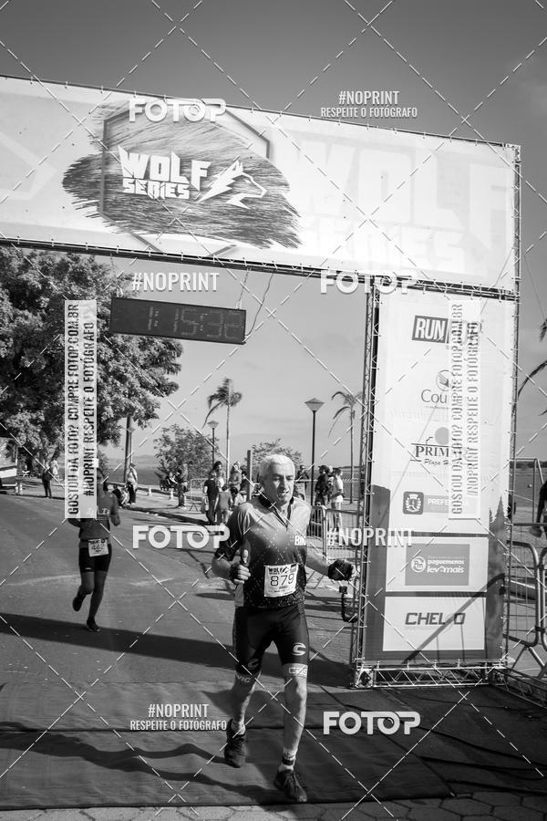 Buy your photos of the eventWolf Series - Botucatu on Fotop