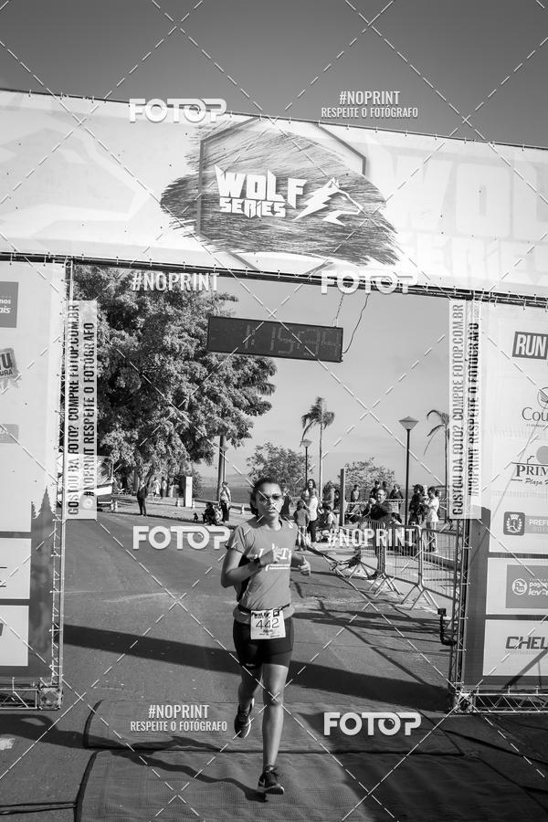 Buy your photos of the eventWolf Series - Botucatu on Fotop